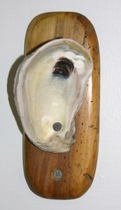 Shell Hanger