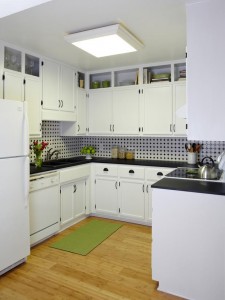 Green Kitchen Remodel